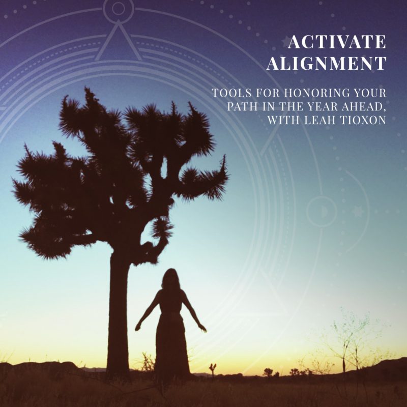 Activate Alignment Scheduling LeahTioxon